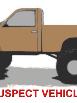 Suspect Vehicle in Elk Grove, CA, murders of Sikh grandfathers (source: Sacramento Bee)